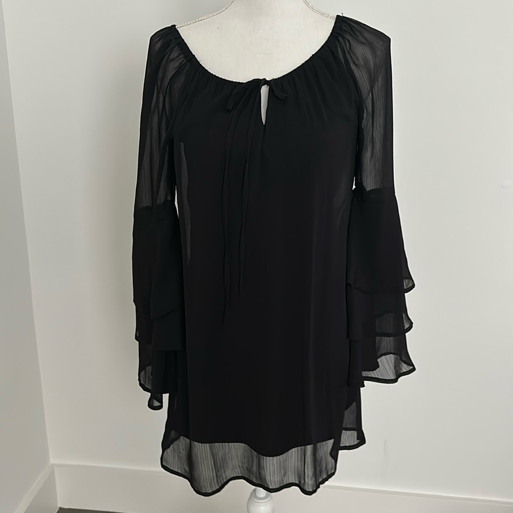 Beautiful Top with Tiered Sheer Sleeves